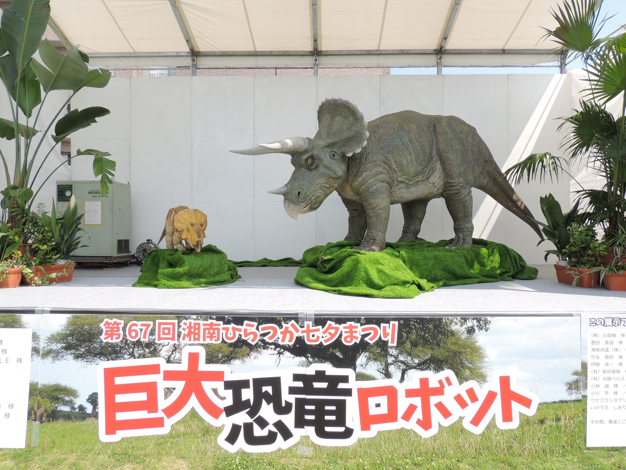 自分の何倍もの大きさがあるその姿に子どもたちも驚き、胸を高鳴らせてくれると思います! 恐竜プロジェクト