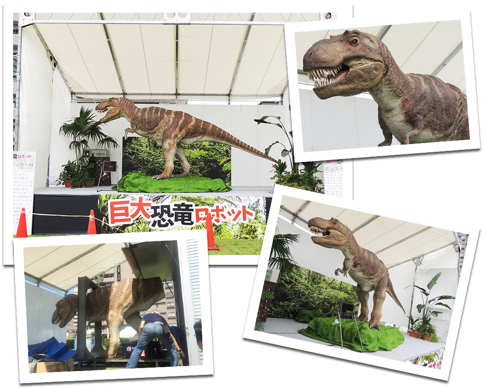 昨年は皆様のご協力のお陰で、ティラノサウルスを展示することができました! 恐竜プロジェクト